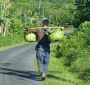 Carrying palm-frond baskets